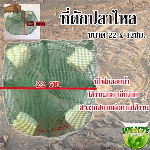 ที่ดักปลาไหล-22cm-12cm