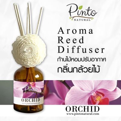 Pinto Natural Aromatic Reed Diffuser ก้านไม้หอมปรับอากาศ กลิ่นกล้วยไม้ Orchid ขนาด 50ml. และ 100ml.