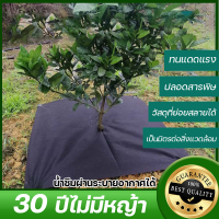 30 ปีไม่มีหญ้า OUMANDI พลาสติกคลุมดิน ทนแดดแรง การใช้งานในระยะยาว วัสดุที่ย่อยสลายได้ การซึม พลาสติกคลุมวัชพืช พลาสติกคลุมหญ้า ผ้าคลุมวัชพืช ผ้าคลุมดิน ผ้าคลุมดินม้วน ผ้าคลุมดินหญ้า ผ้าคลุมดินป้องกันวัชพืช พราสติกคลุมดิน พลาสติคคลุมดิน พลาสติกคุมดิน