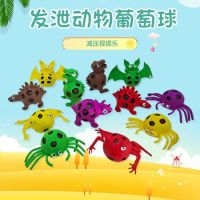 【CW】 Vent toy decompression kneading music animal grape ball stall wholesale children artifact