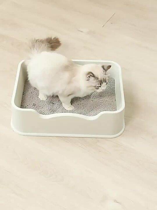 Spot parcel post Bentonite Cat Litter Free Shipping 20 kg Deodorant