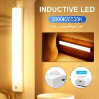 10/20/30/50 CM Motion Sensor Light Wireless LED Night Light Cabinet Light USB Closet Wardrobe Light Wall Decorative Lamp