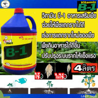 B1 (B-start) **ฉลากใหม่ น้ำยาเดิม** 4ลิตร น้ำยาเร่งราก ราคาถูก