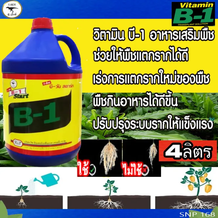 B1 (B-start) 4ลิตร น้ำยาเร่งราก ราคาถูก (ฉลากใหม่)B-start | Lazada.co.th