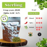 Sterling Hops (1oz) Crop years 2020 (บรรจุด้วยระบบสูญญากาศ)