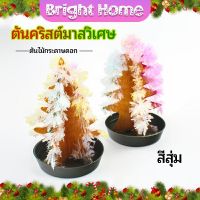 ต้นคริสต์มาสวิเศษ ต้นไม้กระดาษดอก ต้นคริสต์มาสวิทยาศ ของขวัญแสนสนุก magical christmas tree