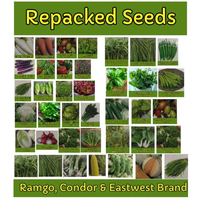 50 Seeds SET A VEGETABLE AND HERBS SEEDS, TALONG,PECHAY,OKRA,TOMATO ...