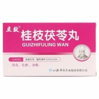 Lixiao Guizhi Poria Pills 4gx6 bags/box blood stasis amenorrhea abdominal pain postpartum lochia