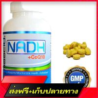 Free Delivery Maac10 NADH + COQ10 Suplement | Supports Fatigue, Energy and NAD+ | Active Vitamin B3 | 50mg Panmol® NADH + 100mg CoQ10Fast Ship from Bangkok