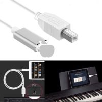 ( Pro+++ ) สุดคุ้ม สาย MIDI Lightning to USB type B สำหรับ IOS กับ อุปกรณ์เครื่องดนตรีไฟฟ้า (1.5 M) ราคาคุ้มค่า อุปกรณ์ ดนตรี อุปกรณ์ เครื่องดนตรี สากล อุปกรณ์ เครื่องดนตรี อุปกรณ์ ดนตรี สากล