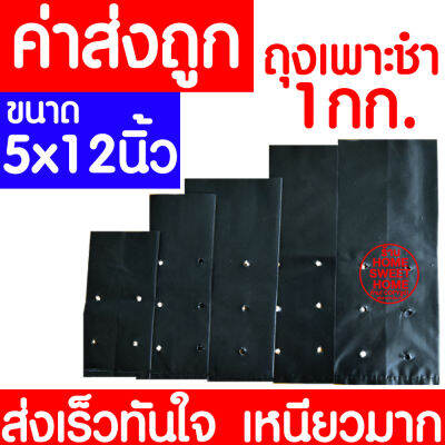 *ค่าส่งถูก* ถุงเพาะชำ 5x12นิ้ว (1กก.) ถุงเพาะ ถุงเพาะกล้า ถุงชำ ถุงดำเจาะรู ถุงปลูกต้นไม้ เนื้อมัน เหนียว หนา ถูกที่สุด