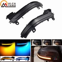 LED Dynamic Turn Signal Side Mirror Sequential Light Indicator For BMW 1 2 3 4 Series X1 F20 F21 F22 F30 F31 F34 F32 E84 i3