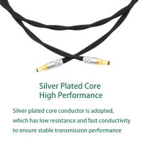 2x14AWG OCC Silver Plated DC Cable for Keces Linear Power Supply,Original Oyaide plug