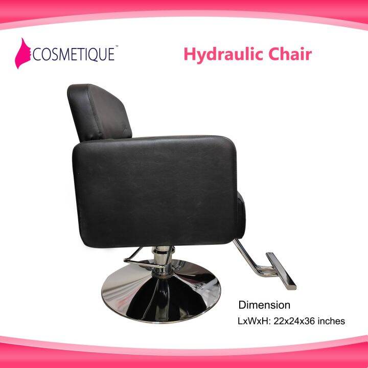 Hydraulic Chair For Salon Hair Dressing Chair Lift And Down Spa Office