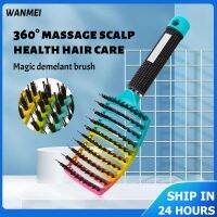 【CC】 Demelant Detangling Bristle Hairbrush Antiklit Lice Womens Hair Brushs Hairdressing Styling