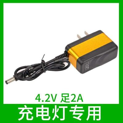 Charging Flood Light Power Adapter Charger 5.5 Head and Foot 1A2A