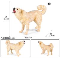 【SALE】 tangticarans1972 โมเดลแอคชั่นพลาสติกรูปสัตว์ปีกจำลองแบบทำมือคอลเลกชันรูปปั้นสุนัขสัตว์เลี้ยงสีขาวของเล่นเพื่อการศึกษาสำหรับเด็กเครื่องประดับของขวัญ
