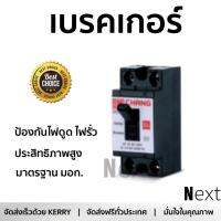 รุ่นขายดี เบรคเกอร์ งานไฟฟ้า CHANG เบรคเกอร์ 10A BCH-110 ช้าง - สีดำ ตัดไฟ ป้องกันไฟดูด ไฟรั่วอย่างมีประสิทธิภาพ รองรับมาตรฐาน มอก Circuit Breaker จัดส่งฟรี Kerry ทั่วประเทศ