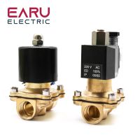 Electric Solenoid Valve 1/4" 3/8" 1/2" 3/4" 1" DN8/10/15/20/25/50 Normally Closed Pneumatic for Water Oil Air 12V 24V 220V 110V Plumbing Valves