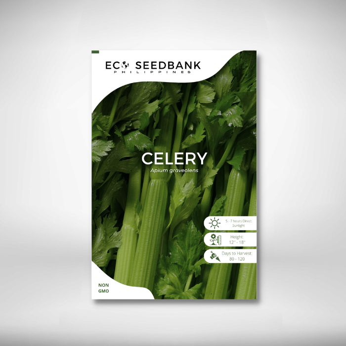 Celery Vegetable Seeds Eco Seedbank Philippines Lazada PH