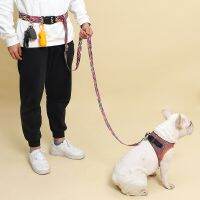 Bohemian Hands Free Dog Leash Adjustable for Running Hiking Waist Worn Pet Cat Walking Belt Pooch Traction Rope Puppy Woven Tape Collars