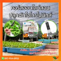 ?สุดพิเศษ Hydroponic Work คอร์สออนสอนปลูกผักไฮโดรโปนิกส์แบบละเอียด ดูแลและสอนจากผู้เชี่ยวชาญ Wow สุด