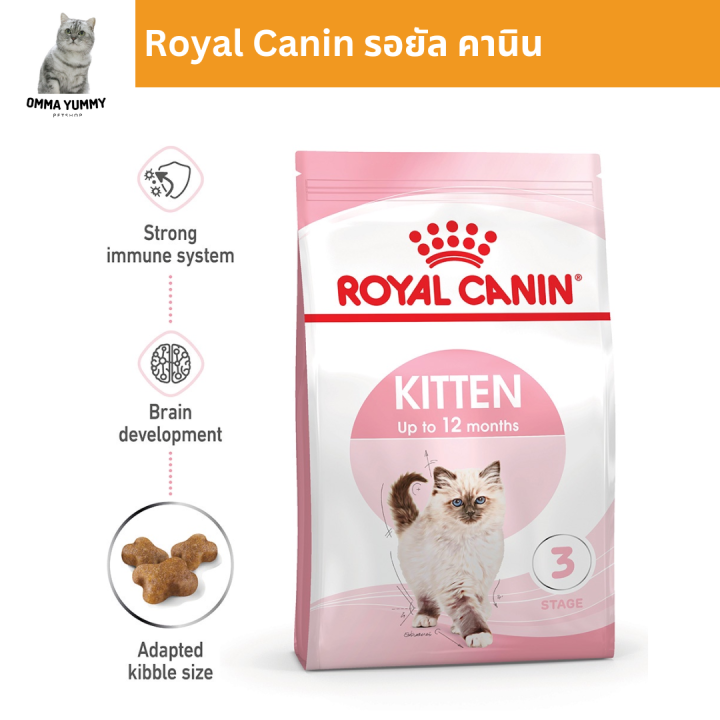 royal-canin-kitten-10kg-อาหารเม็ดลูกแมว-อายุ-4-12-เดือน