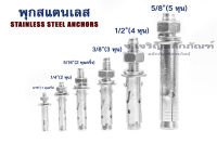 พุกสแตนเลส ขนาด  3/16" 1/4" 5/16" 3/8" 1/2" 5/8"  พลุ๊กสแตนเลส พุ๊ก พุกยึด Stainless Steel Anchor