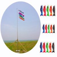 Japanese Carp Spray Windsock Streamer 40-100cm Color Fish Flag Kite Cartoon Fish Windsock Carp Windsock Flag Home Festival Decor