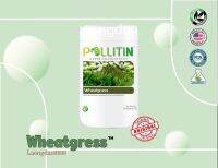 Wheatgrass วีทกราส ผลิตภัณฑ์พอลลิติน ของแท้100%