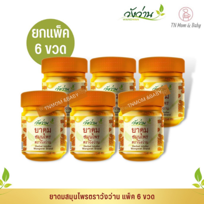 [ขายส่งยกแพ็ค 6 ขวด] ดมสมุนไพรตราวังว่าน Herbal inhaler Wangwan Brand