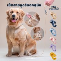 DOG สายรัดอกสุนัข Woofella Walk Kit เซ็ตเสื้อรัดอกพร้อมสายจูง สายจูงสุนัขใหญ่ สายจูงรัดอกสุนัข