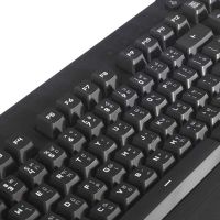 LOGITECH { KEYBOARD (G213) PRODIGY GAMING