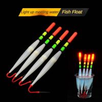 ►❄ Glow Fishing Float Luminous Smart LED Electric Light Float Deep Water Luminous Buoy Night Fishing Bobber Fishing Tackle 2pc