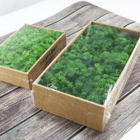 【cw】Simulation Plants Eternal Life Moss Garden Home Decor Wall DIY Flower Material Mini Garden Micro Landscape Fake Moss Gift !