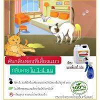 ดับกลิ่น แมว ในห้องสนิท หรือ กลิ่นฉี่ หนูตามซอกต่างๆ Catclean ทำงานด้วยจุลินทรีย์