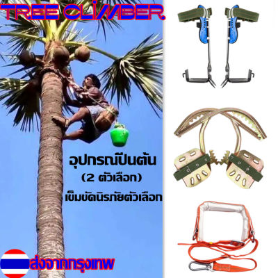 Tree Climber อุปกรณ์ปีนต้น ไม้ ปีนต้นไม้ Spikes เสา ปีนต้นไม้ เสาเกียร์ ช่างไฟฟ้า เสาไม้ หัวเข็มขัดสำหรับระดับความสูงสูง การเก็บผลไม้ เก็บผลไม้ เครื่องมือล่าสัตว์กลางแจ้ง เพื่อความปลอดภัย SAFETY BELT เข็มขัด นิรภัย