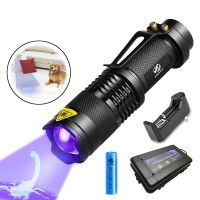 UV Zoomable Flashlight Torch 365nm/395nm Ultra Blacklight Battery