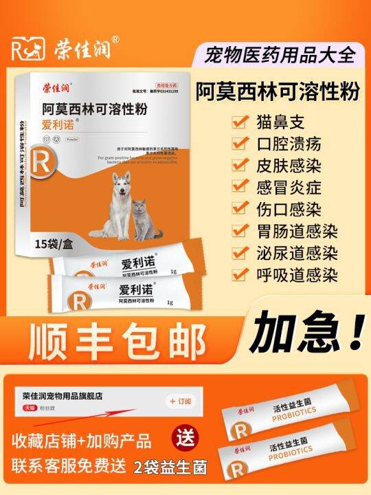 Amoxicillin soluble powder cat dog cough with cold medicine nasal