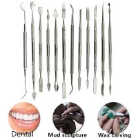 12 Pcs Metal Spatula for Wax Knife Kit Sculpture Tools Blade Dental Knife Carve Pottery Clay Carving Modeling Jewelry Equipment