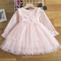 Long Sleeve Fall Dresses for Girls Elegant Children Casual Clothing Kids Wedding Birthday Gown for 3 6 8 Yrs Baby Princess Dress