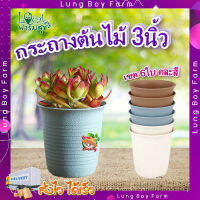 กระถางปลูกต้นไม้ ทรงกลม ใบเล็ก ? Tree O ขนาด 3นิ้ว (เซต 6ใบ) คละสี รุ่น 6PY057-MX กระถางต้นไม้ กระถาง กระถางพลาสติก อย่างดี