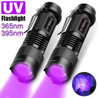 UV Flashlight LED Ultraviolet Torch Zoomable Mini Ultra Violet Lights 395/365nm Inspection Lamp Pet Urine Stain Detector Tools Rechargeable  Flashligh