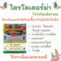 ไตรโคเดอร์ม่า ชนิดผง ป้องกันโรคพืชรากเน่า โคนเน่า 50 กรัม, 100 กรัม, 500 กรัม, 1 กิโลกรัม ป้องกันเชื้อรา ป้องกันโรคพืช