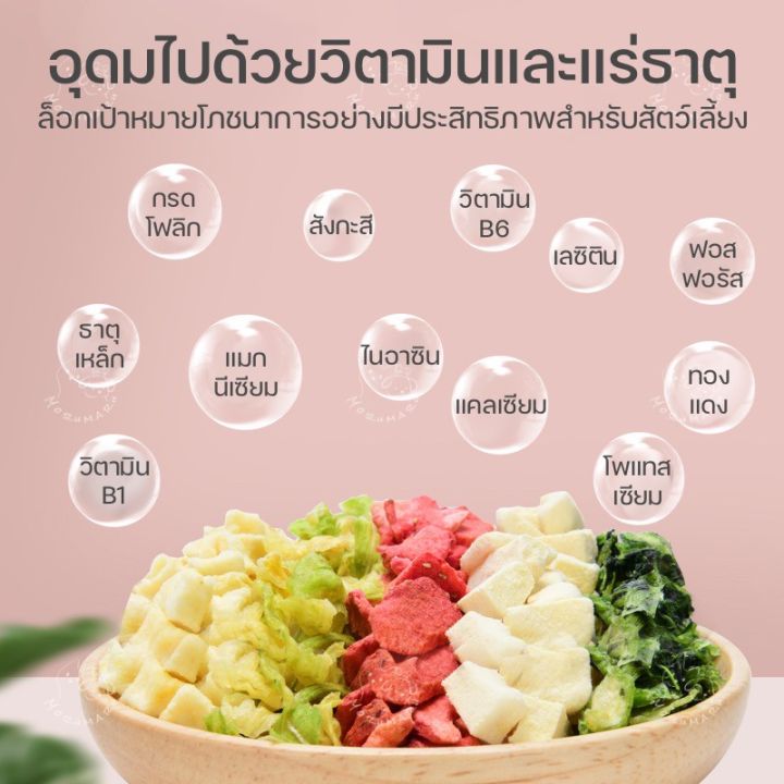 yee-ขนม-ผักและผลไม้ฟรีสดราย-ขนมแฮมเตอร์-เม่นแคระ