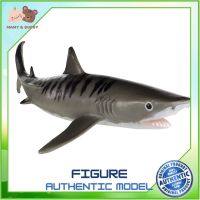 Safari Ltd. : SFR211702 โมเดลฉลามเสือ Tiger Shark Model Action Figure Cartoon แอกชั่น ฟิกเกอร์ ของเล่น ของสะสม ของเล่นเด็ก ตุ๊กตา Mamy and Buddy