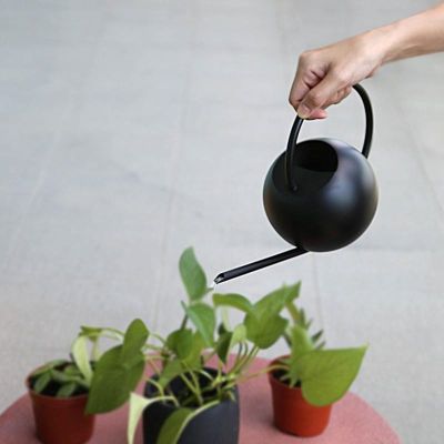 【CC】 Metal Watering Can With Spout Indoor And Outdoor Gardening Pots Bottles Waterers Meaty Gardens tool