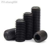 M1.6 M2 M2.5 M3 M3.5 M4 M5 M6 M8 304 Stainless Black 12.9 Steel Hex Hexagon Socket Cup Point Set Screw Grub Headless Bolt DIN916