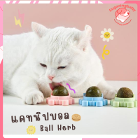 แคทนิปบอล? กัญชาแมว? แคทนิปแมวเลีย บอลแมวเลีย catnip ball ขนมแมวเลีย Ball Herb แปะกำแพง  ขนมแมวเลีย ลูกบอลแมวเลีย catnip หญ้าแมว