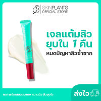 ส่งไว ? SKINPLANTS Tea Tree Acne Gel เจลแต้มสิว หมดปัญหาสิวซ้ำซาก ลดการอักเสบบวมแดง สมานผิว ลดเลือนรอยดำรอยแดง